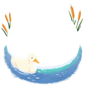 a duck