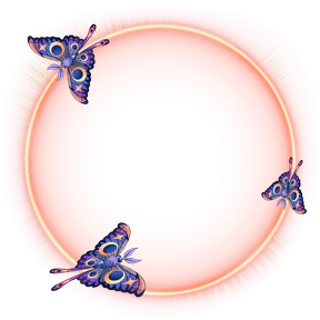 Luna Moths